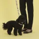 United Pets Ошейник Complete me, разноцветный рисунок, L