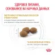 Royal Canin Urinary S/O Feline, 350 г