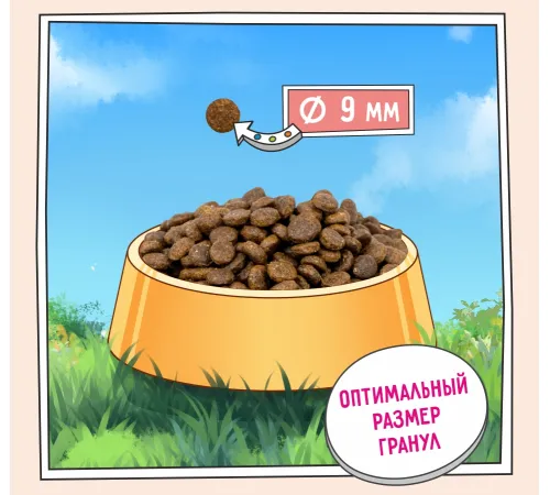 ZILLII Urinary Care Cat (Индейка), 400 г