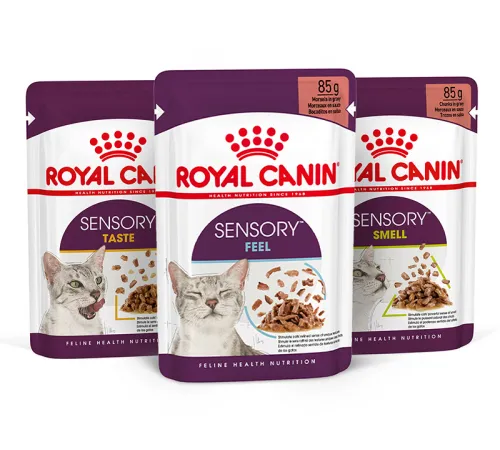 Royal Canin Sensory Multipac (соус), 1 уп