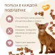 Мнямс Хрустящие подушечки Здоровые зубы, 60 г