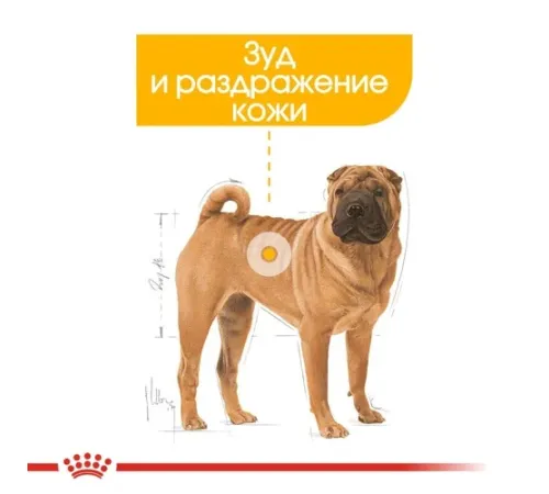 Royal Canin Medium Dermacomfort, 3 кг