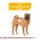 Royal Canin Medium Dermacomfort, 3 кг