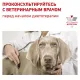 Royal Canin Neutered Adult Medium Dog, 9 кг