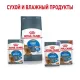 Royal Canin Light Weight Care (желе) 85 гр