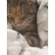 Bast Плед прямоугольный, М