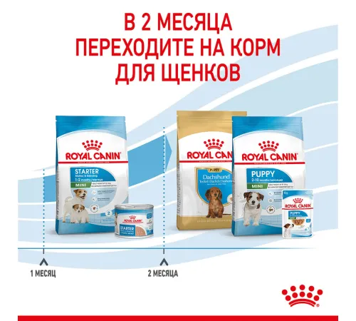 Royal Canin Mini Starter, 1 кг