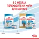 Royal Canin Mini Starter, 1 кг