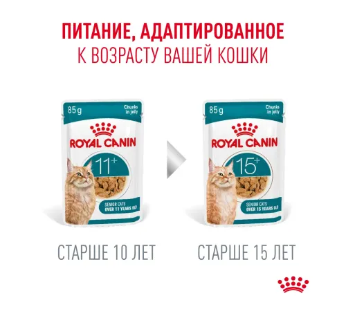 Royal Canin Ageing (желе) 11+, 85 г х 12 шт