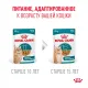 Royal Canin Ageing (желе) 11+, 85 г х 12 шт