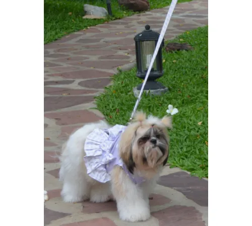 Doggy Dolly Жилет-шлея DCL127 S