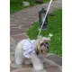 Doggy Dolly Жилет-шлея DCL127 S