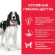 Hill's Science Plan для собак средних пород для поддержания иммунитета (ягненок, рис) 2,5 кг