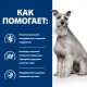 Hill's Prescription Diet i/d Low Fat Digestive Care для собак (курица), 1,5 кг