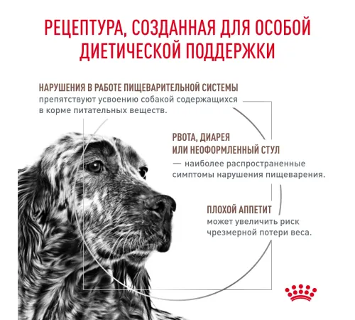 Royal Canin Gastrointestinal Dog, 2 кг