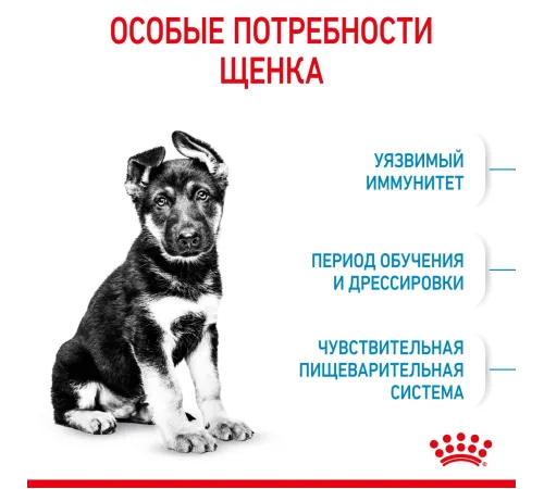 Royal Canin Maxi Starter, 4 кг