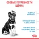 Royal Canin Maxi Starter, 4 кг