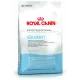 Royal Canin Queen 34 4 кг