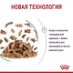 Royal Canin Sensory Feel (соус) 85 г