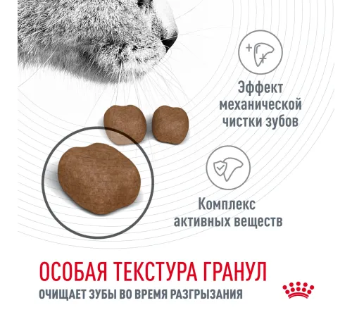 Royal Canin Dental Care, 400 г