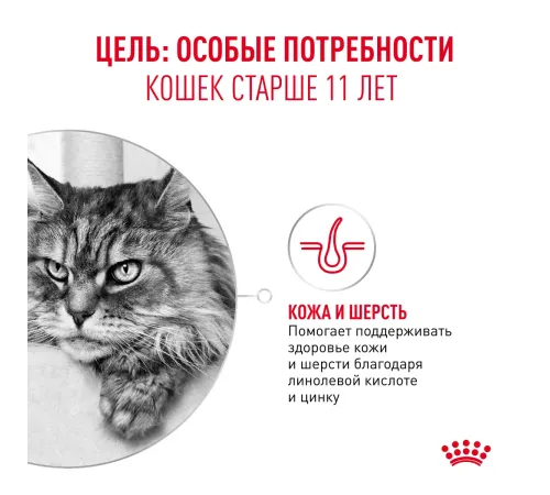 Royal Canin Ageing (соус) 11+, 85 гр  х 12 шт 