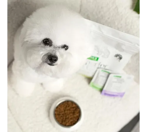 Nature's Protection Superior Care White Dogs Adult Small Breeds (Насекомые), 1,5 кг