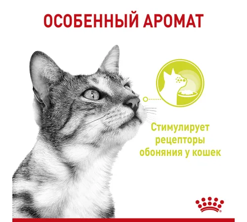 Royal Canin Sensory Smell (соус) 85 г