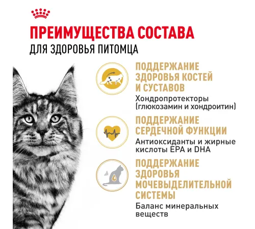 Royal Canin Maine Coon Adult, 400 г