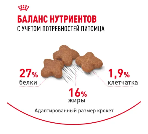 Royal Canin Mini Adult, 800 г