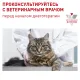 Royal Canin Dental Feline, 1,5 кг