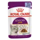 Royal Canin Sensory Taste (желе) 85 г