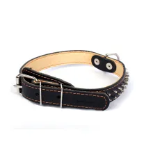 Collar двойной с шипами в 2 ряда Black 25 мм, 38-50 см