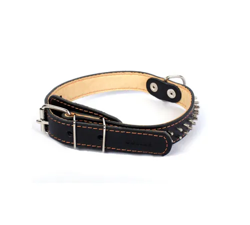 Collar двойной с шипами в 2 ряда Black 25 мм, 38-50 см
