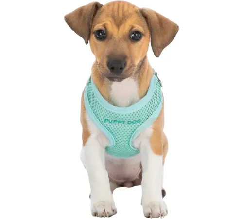 Trixie Шлейка с поводком для щенков мягкая Junior, светло-серый, 36-50см/10мм, 2.00 м
