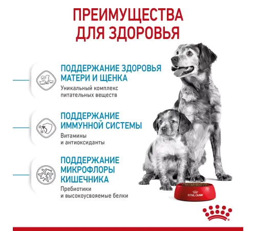 Royal Canin Medium Starter, 4 кг