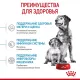 Royal Canin Medium Starter, 4 кг
