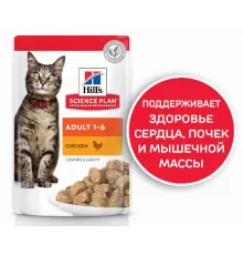 Hill's Science Plan Влажный корм для кошек для поддержания жизненной энергии и иммунитета (курица) 85 г х 10 шт