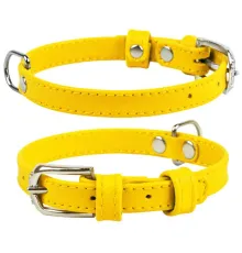 Collar Ошейник 