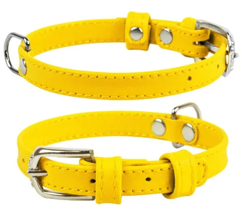 Collar Ошейник 