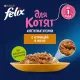 Felix Аппетитные кусочки для котят (Курица в желе), 75 г