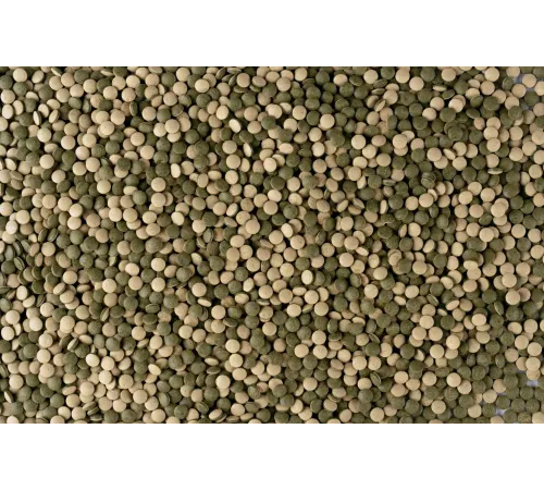 Tetra Корм Pleco Tablets 120 таб.