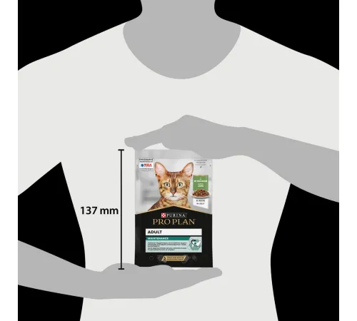 Pro Plan Adult Maintenance (Ягненок в желе), 85 г