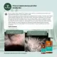 ProPhyto Шампунь для собак Sensitive Skin, 250 мл