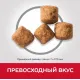 Hill's Science Plan для пожилых собак крупных пород для поддержания здоровой мышечной массы и свободы движений (курица), 14 кг