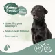 Beaphar Shampoo Black Coat Dog, 250 мл