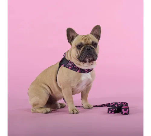 United Pets Шлейка Complete me Identity, черная с розовым, 1,5 x 34-42 см