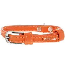 Collar Ошейник 