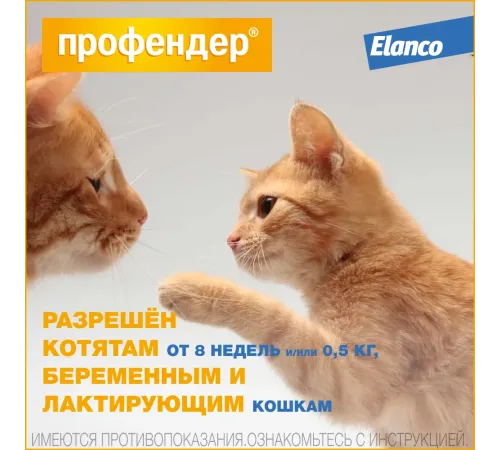 Elanco Профендер для кошек от 2,5 до 5 кг, 1 пипетка