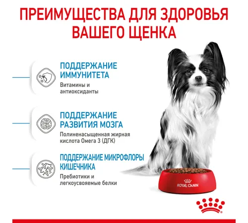 Royal Canin X-Small Puppy, 500 г