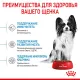 Royal Canin X-Small Puppy, 500 г